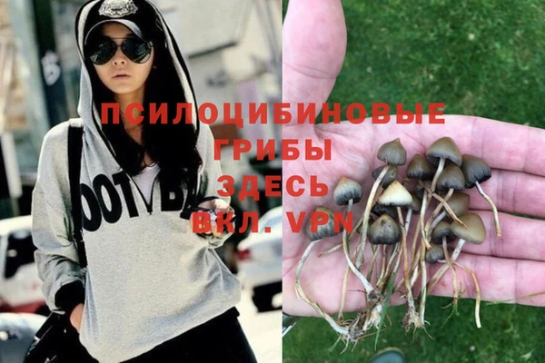 гидропоника Верея