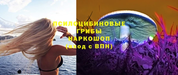 гидропоника Верея