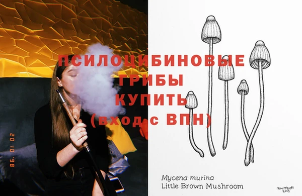ГАЛЛЮЦИНОГЕННЫЕ ГРИБЫ Верхнеуральск