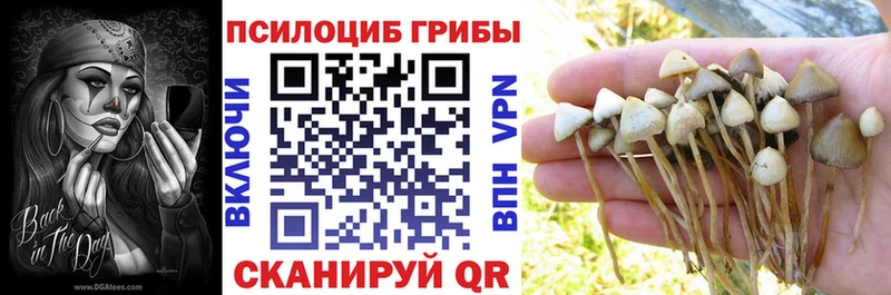 Псилоцибиновые грибы GOLDEN TEACHER  omg как зайти  Выкса 